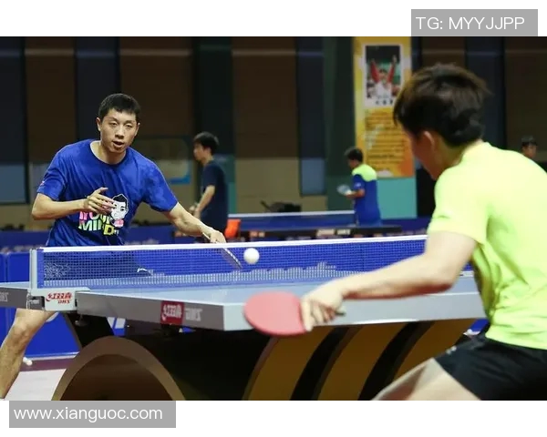 深入探讨北京乒乓球队各队员实力差异及未来发展潜力分析