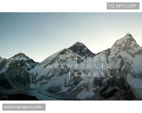 飞盘运动的崛起与李敏的成功秘诀深度对话