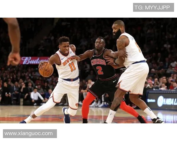 2017年火箭队与尼克斯队精彩对决回顾及赛季亮点分析