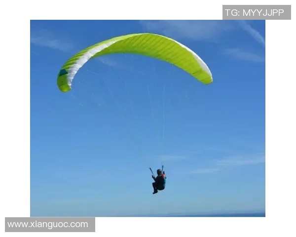 北京极限运动队战术解析与对比深度剖析各队优势与不足MBA