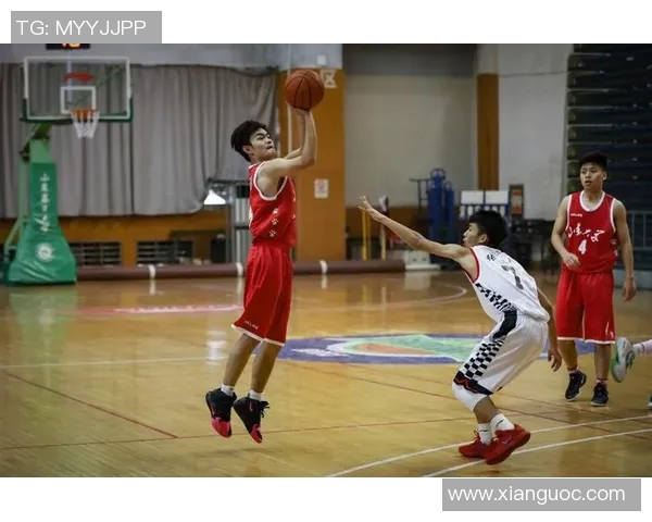 成都篮球队荣登心理素质排行榜第一名展现团队精神与竞技实力