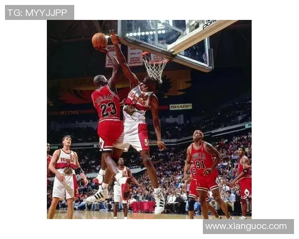 明星篮球场上的传奇人物与他们的精彩故事揭秘